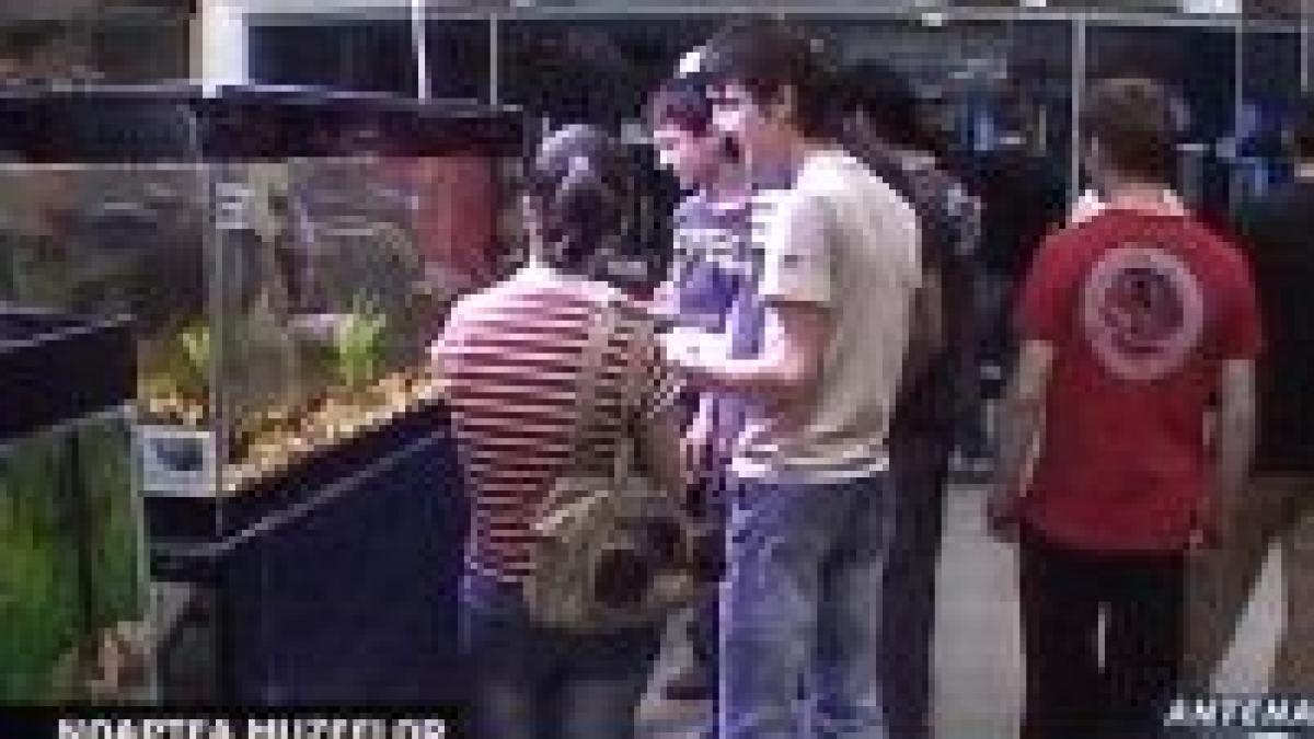 noaptea alba a muzeelor un adevarat succes