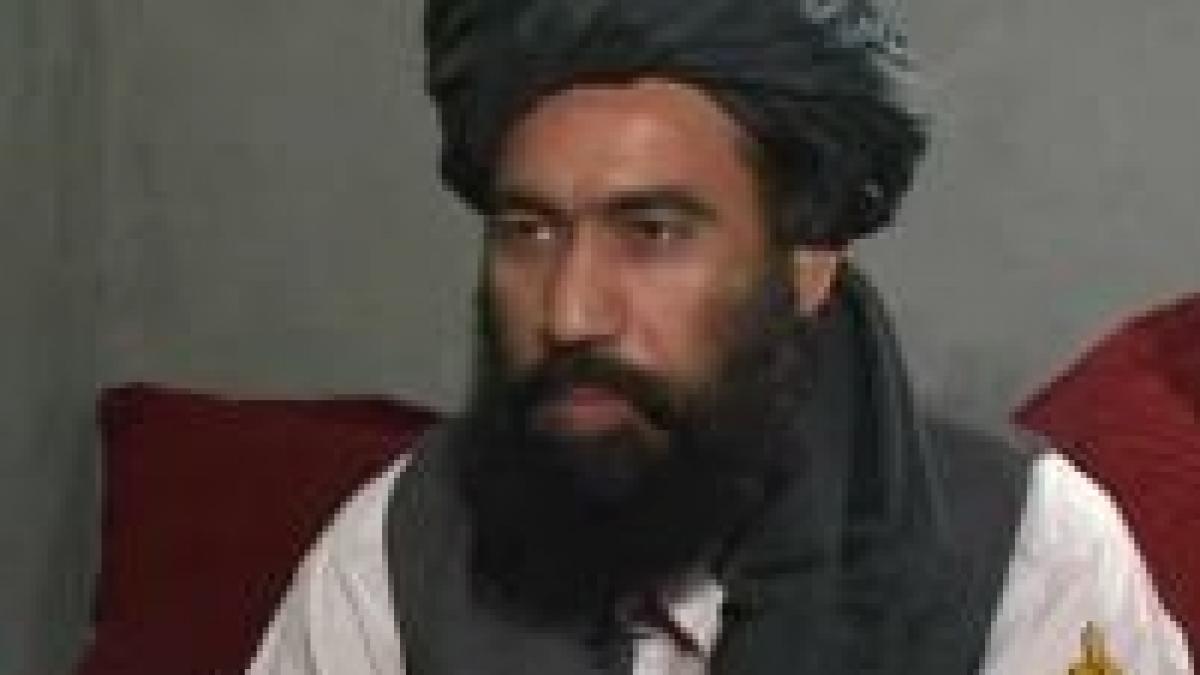 comandant al talibanilor ucis in afganistan