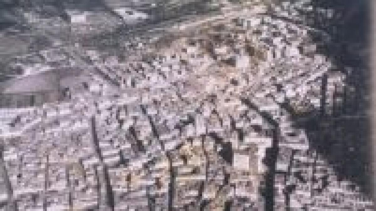 romanii victime pe soselele din italia