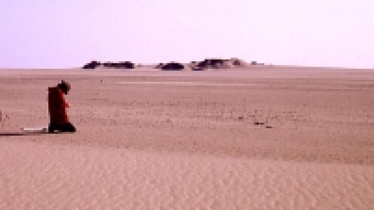 un miliard de emigranti climatici pana in 2050