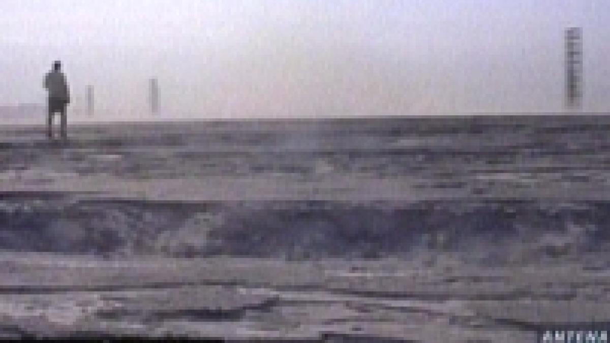 dezastru canicula a dus la poluare cu pirita