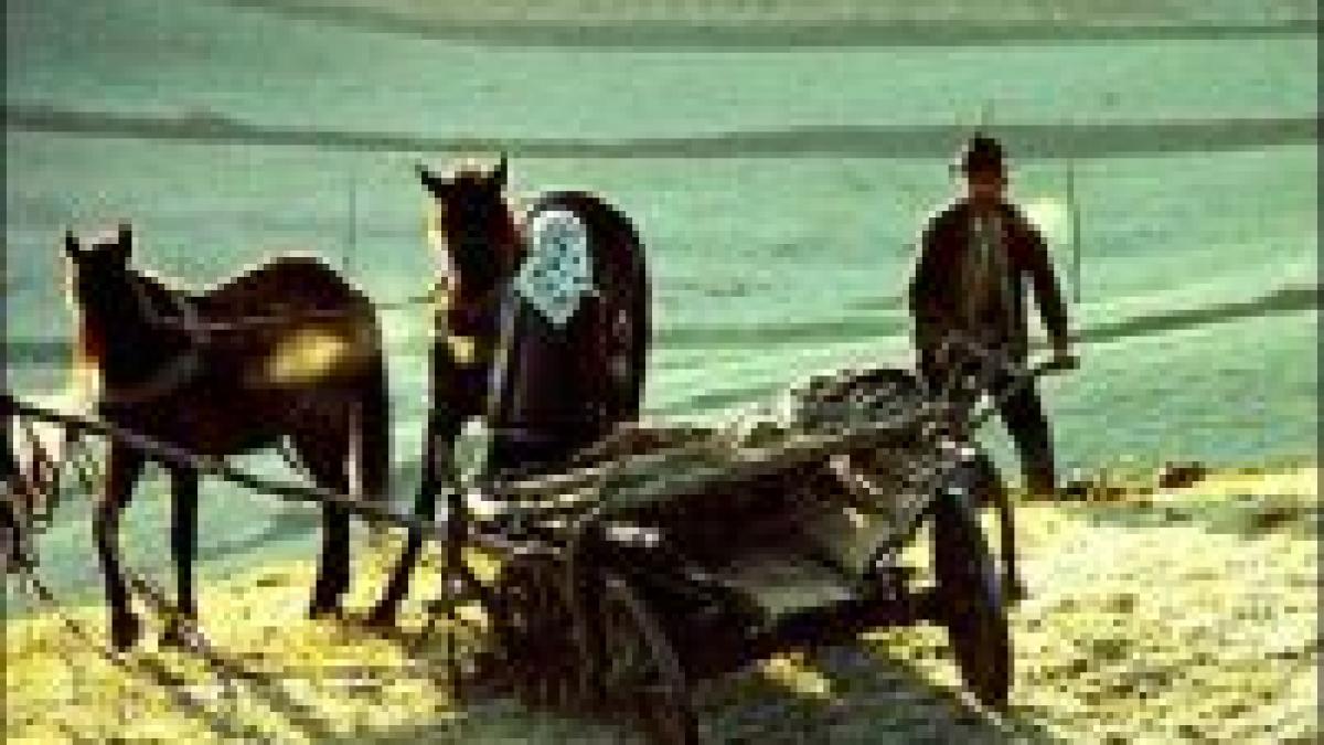 istoria va consemna foamete in mandatul lui basescu