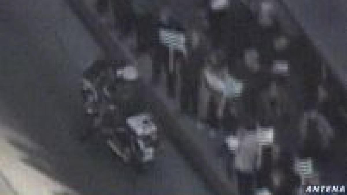 sua amnistie pentru imigranti ilegali