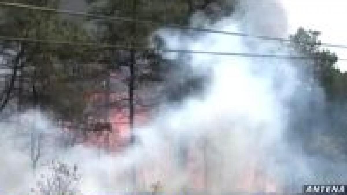 sua incendii de padure provocate de un avion f 16