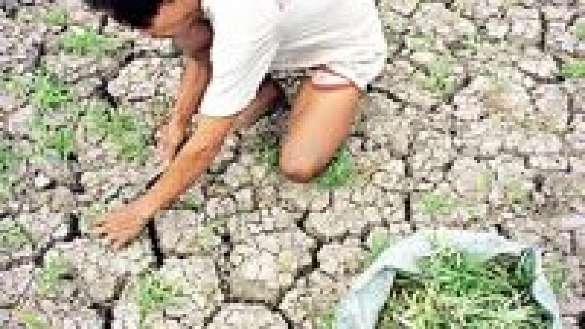 seceta determina consumul de apa cu portia