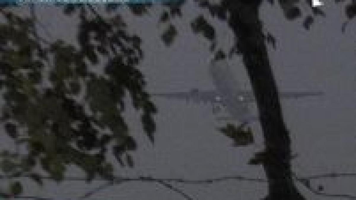 o cursa milano bucuresti a aterizat de urgenta