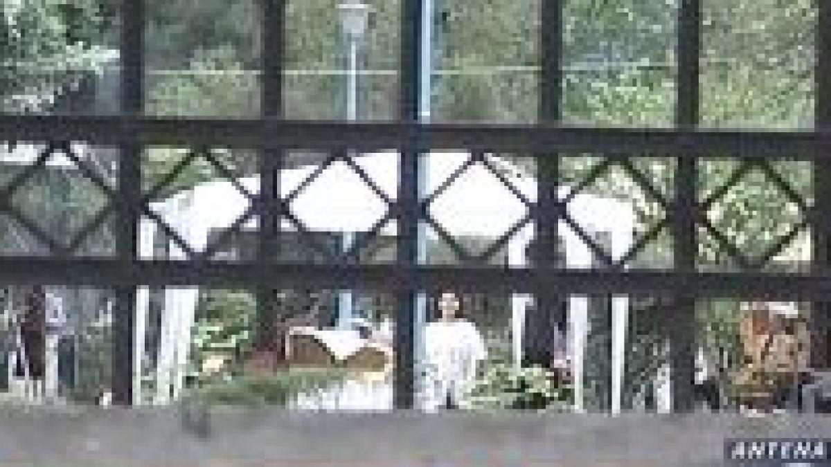 basescu petrece la serbarea campeneasca a pd