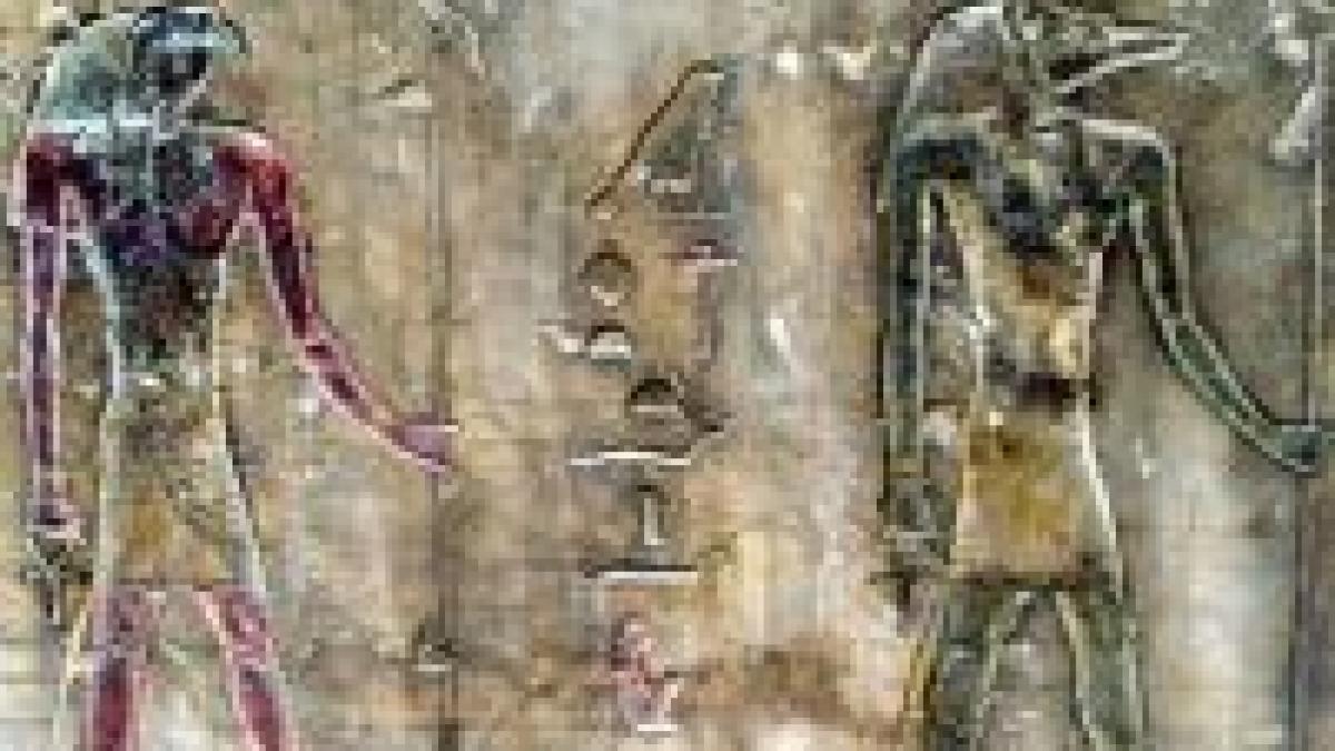 descoperire pe nil mormant vechi de 4 000 de ani