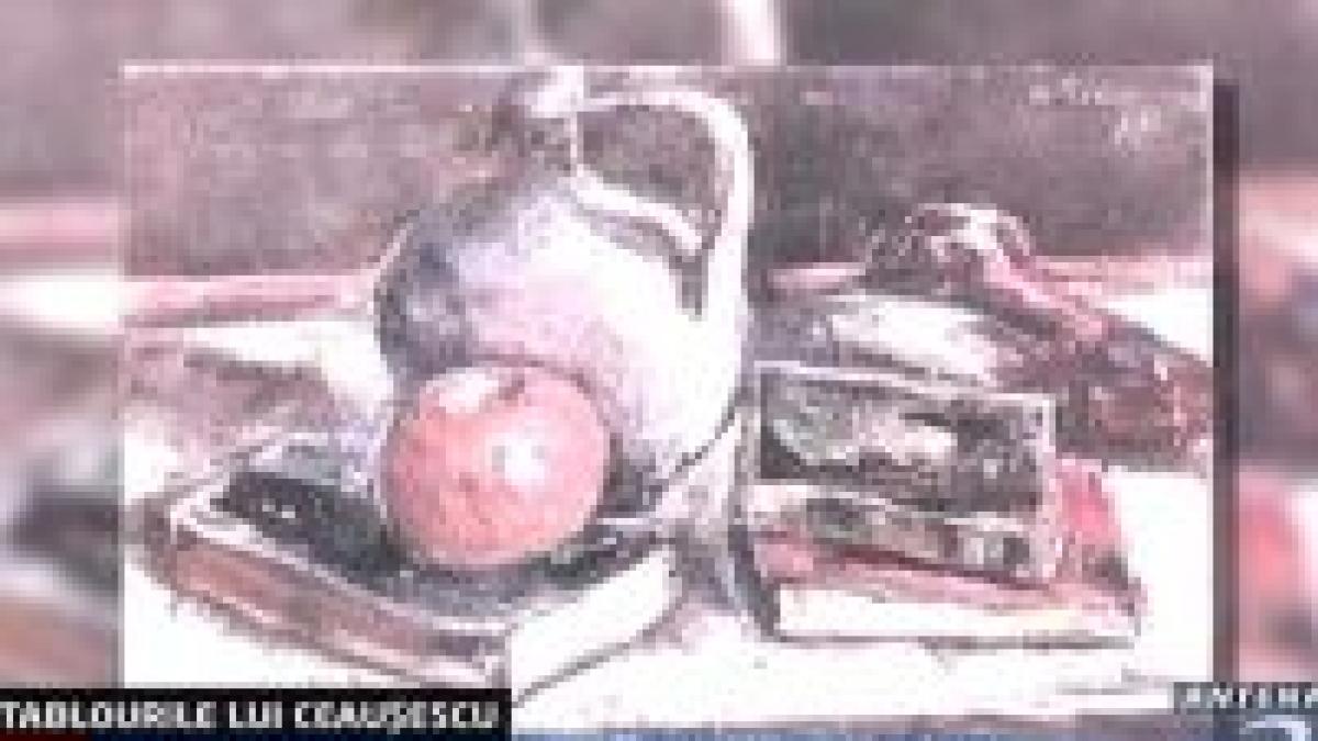 valentin ceausescu vs muzeul de arta