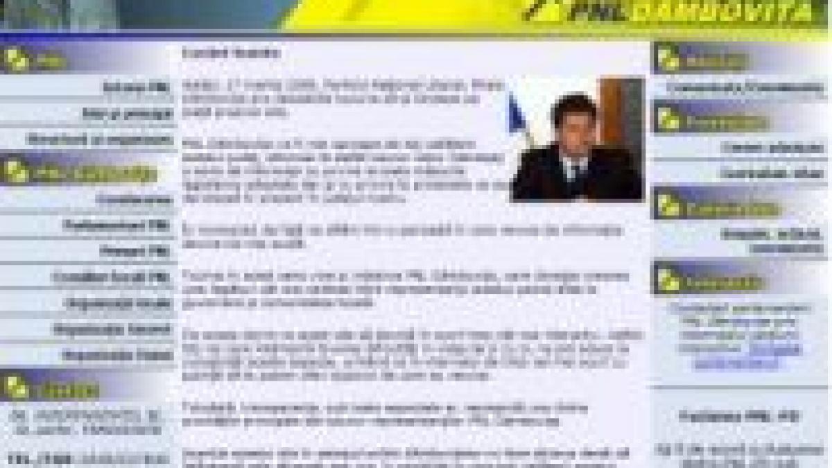 pnl dambovita ramane fara liberali