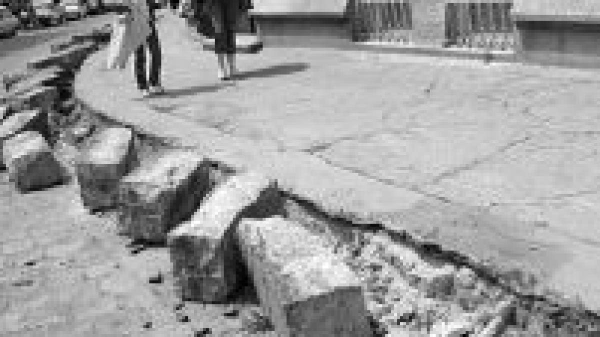 bucuresti 4 milioane de euro pentru borduri noi