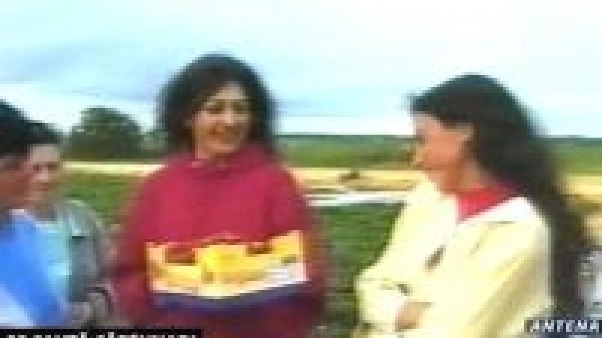 e nevoie de romani in fermele britanice