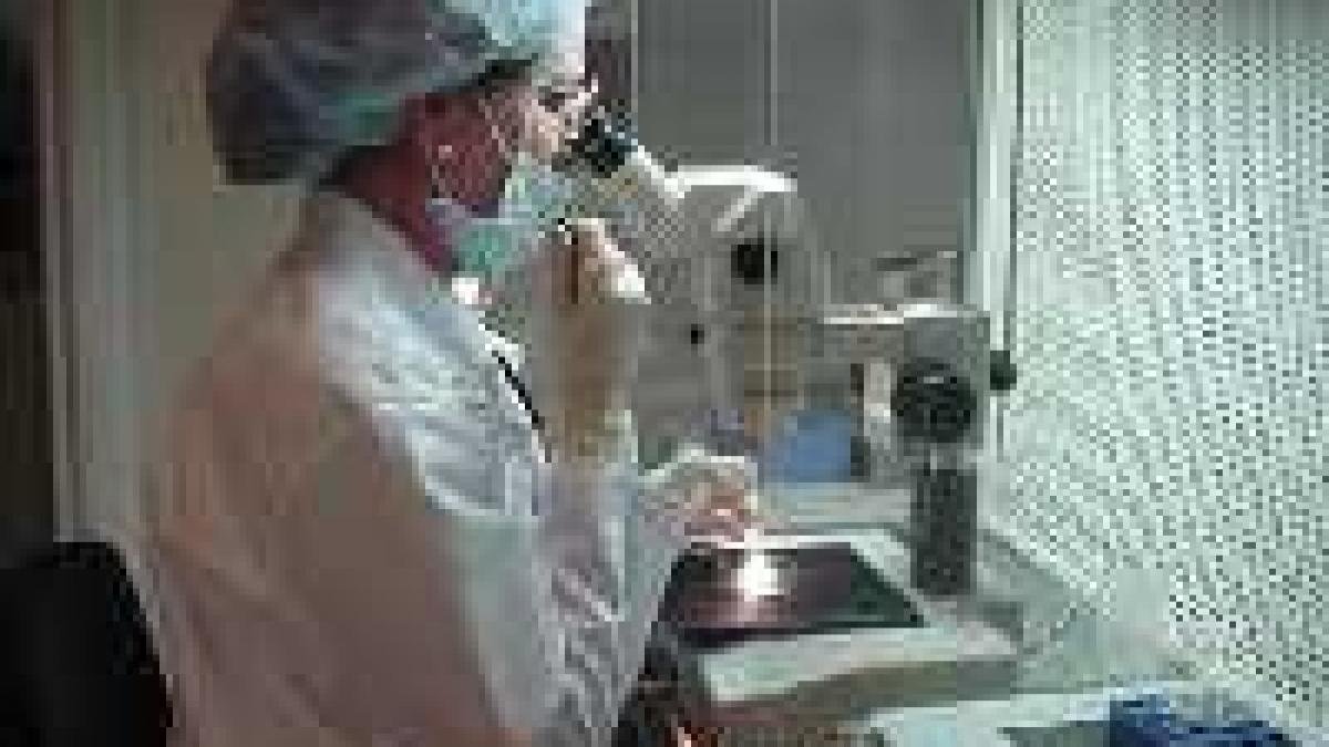 Suedia. "Bebeluşii donatori" - în legalitate