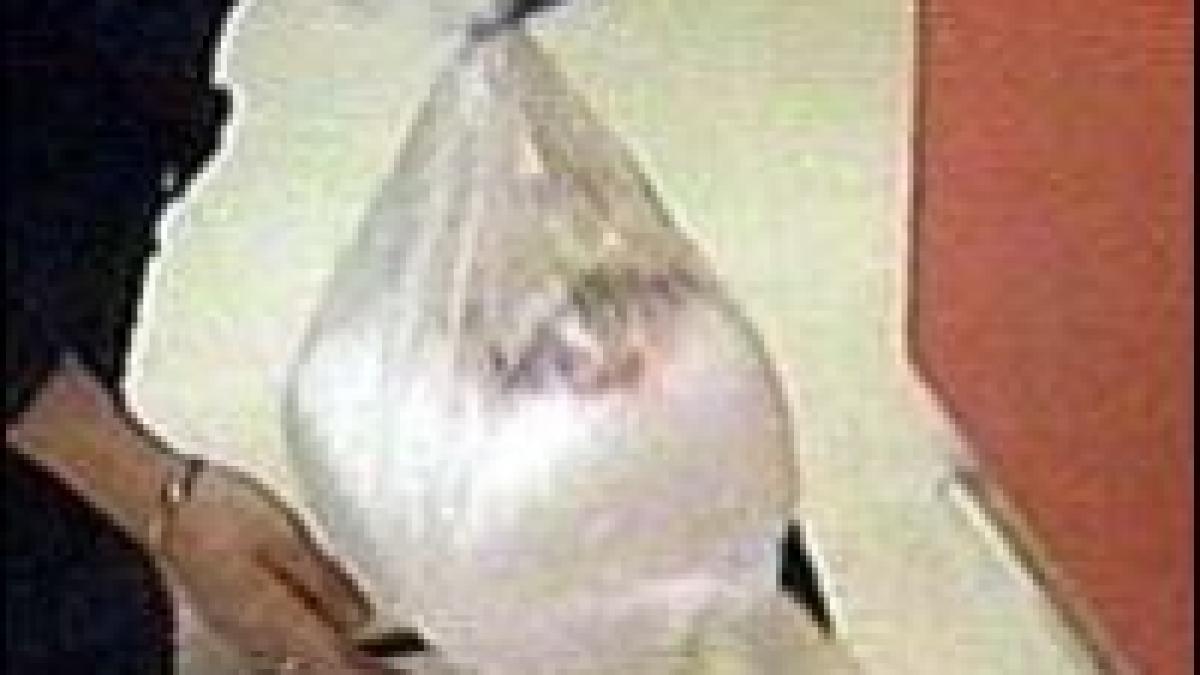 UE. Card european pentru donatorii de organe