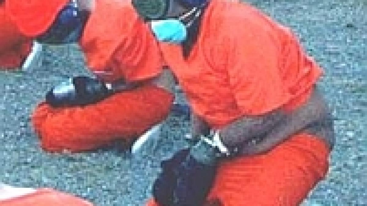 spania protest fata de tratamentul din guantanamo