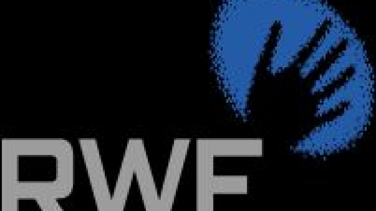 rwe vrea sa preia turceni rovinari sau craiova