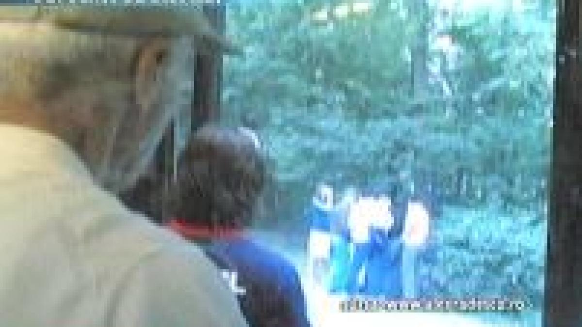 Căldura din RATB face victime
