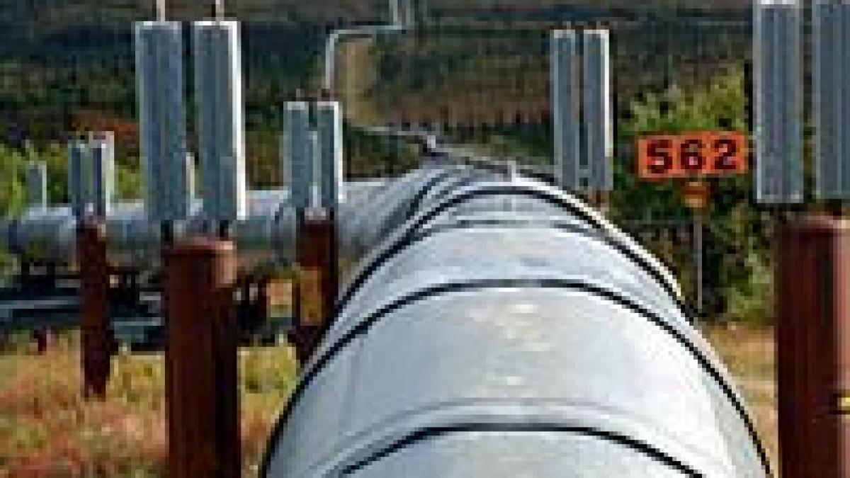 gaze naturale livrate romaniei fara intermediari