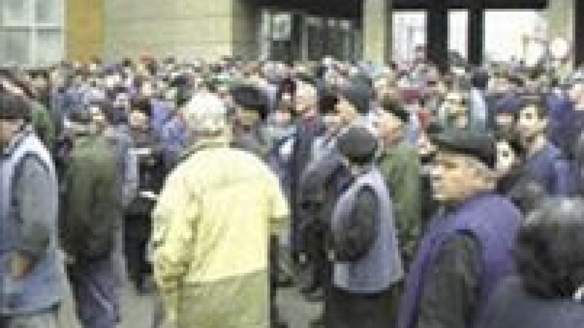 sindicalistii de la nitramonia fac pichete la avas