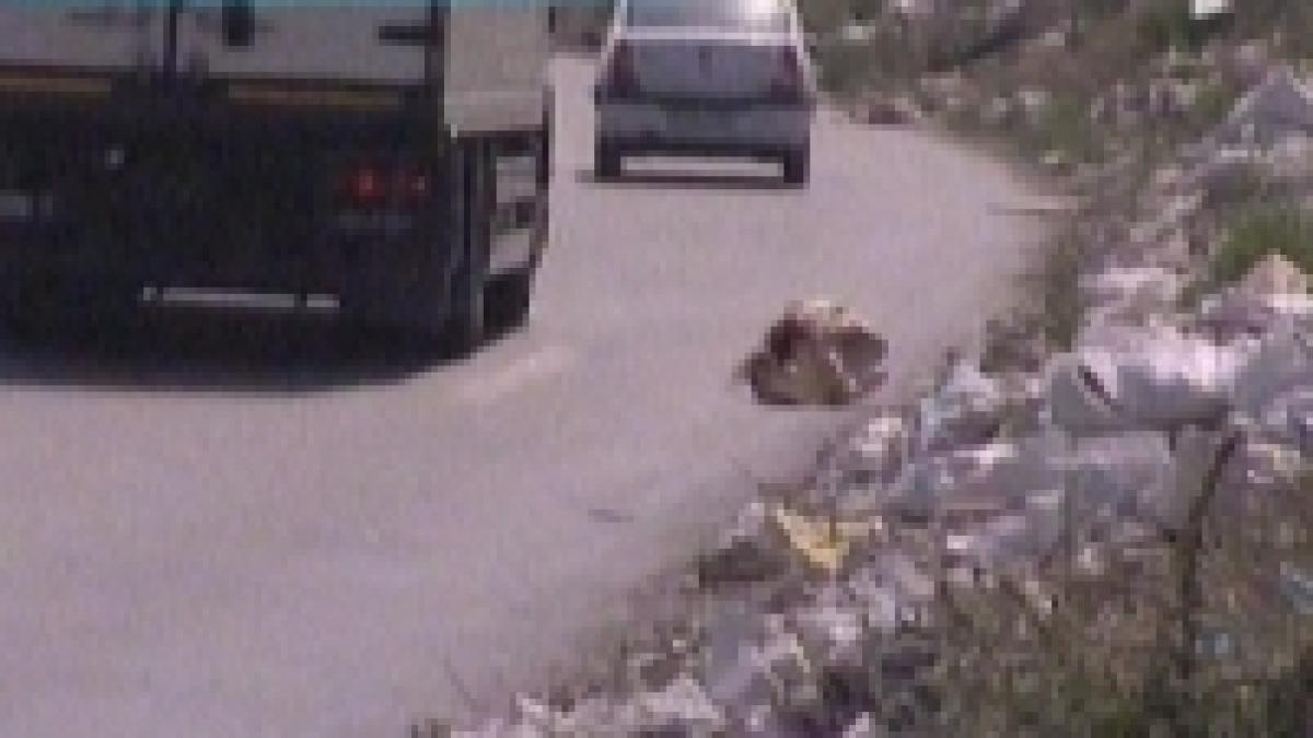 Bucureştiul, capitala europeană a gunoaielor
