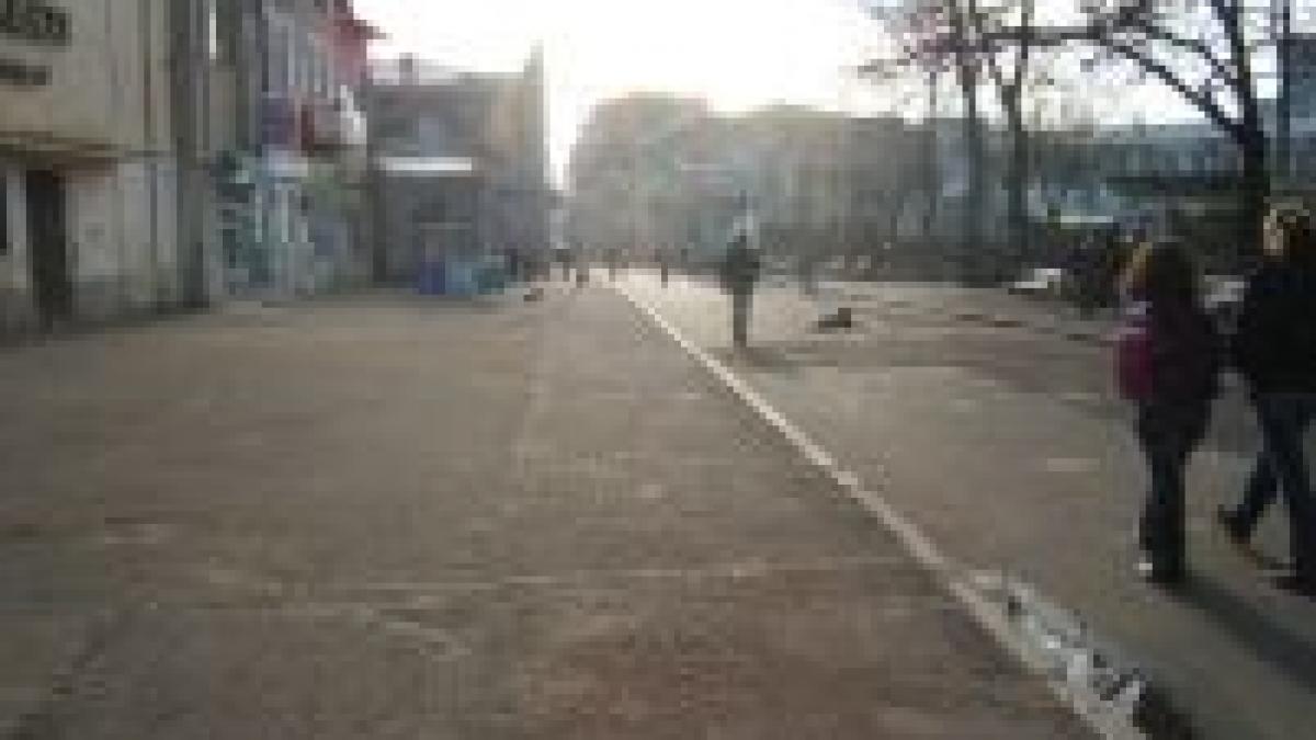 sebes copiii de gradinita se joaca printre soareci