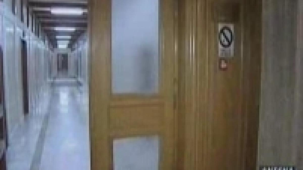 chiul in bloc in parlamentul romaniei video