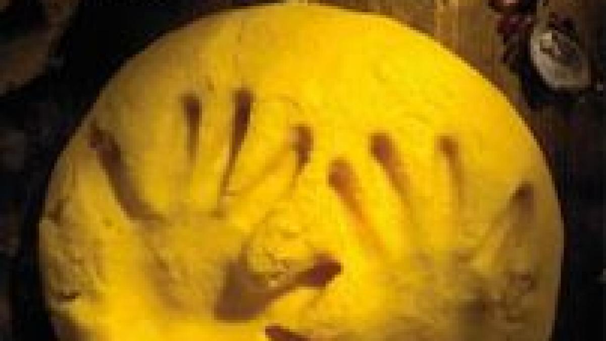 filmele de la tiff proiectate in bucuresti