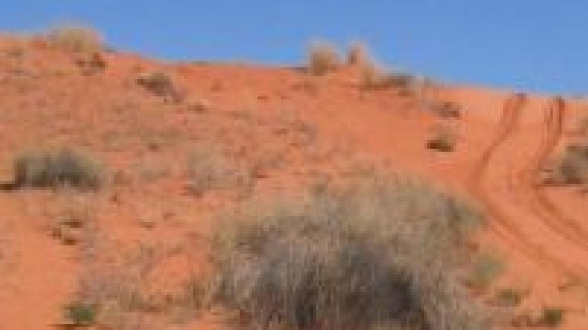 caldura excesiva si seceta ingrijoreaza autoritatile