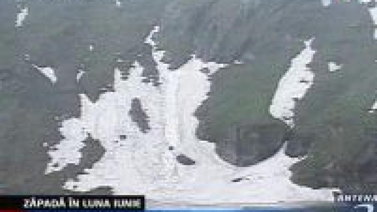 serbarile zapezii la balea lac