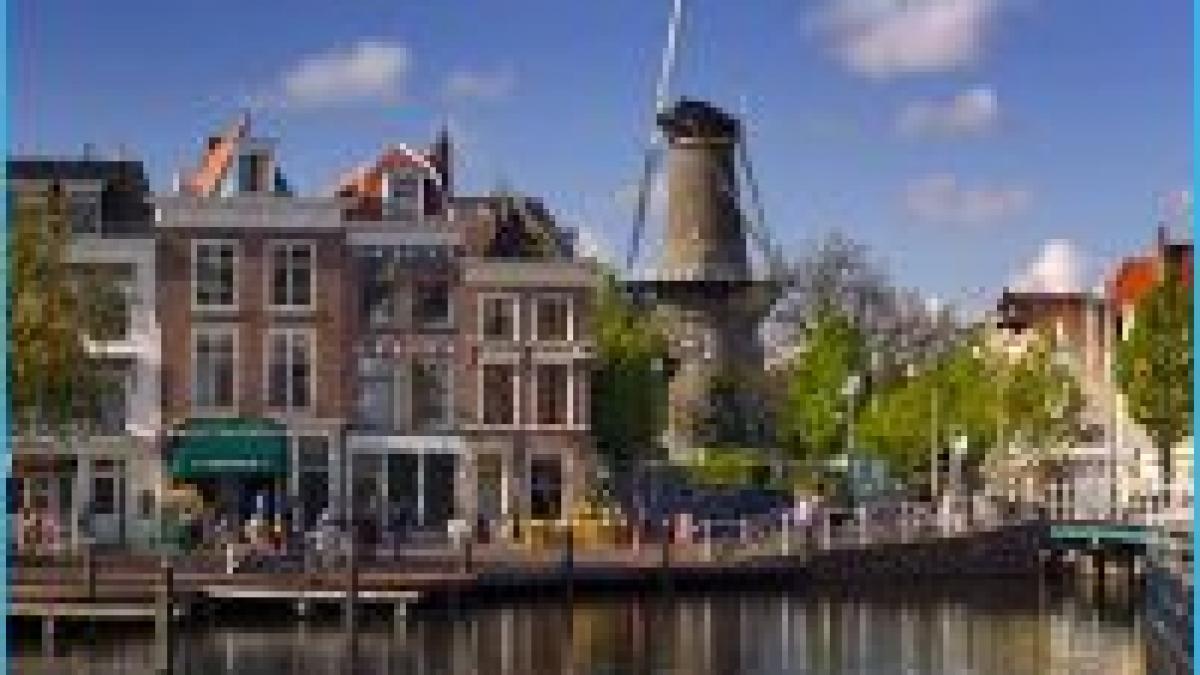 aflux de imigranti romani in olanda