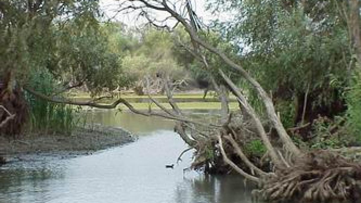 in delta dunarii se practica numai turismul de lux