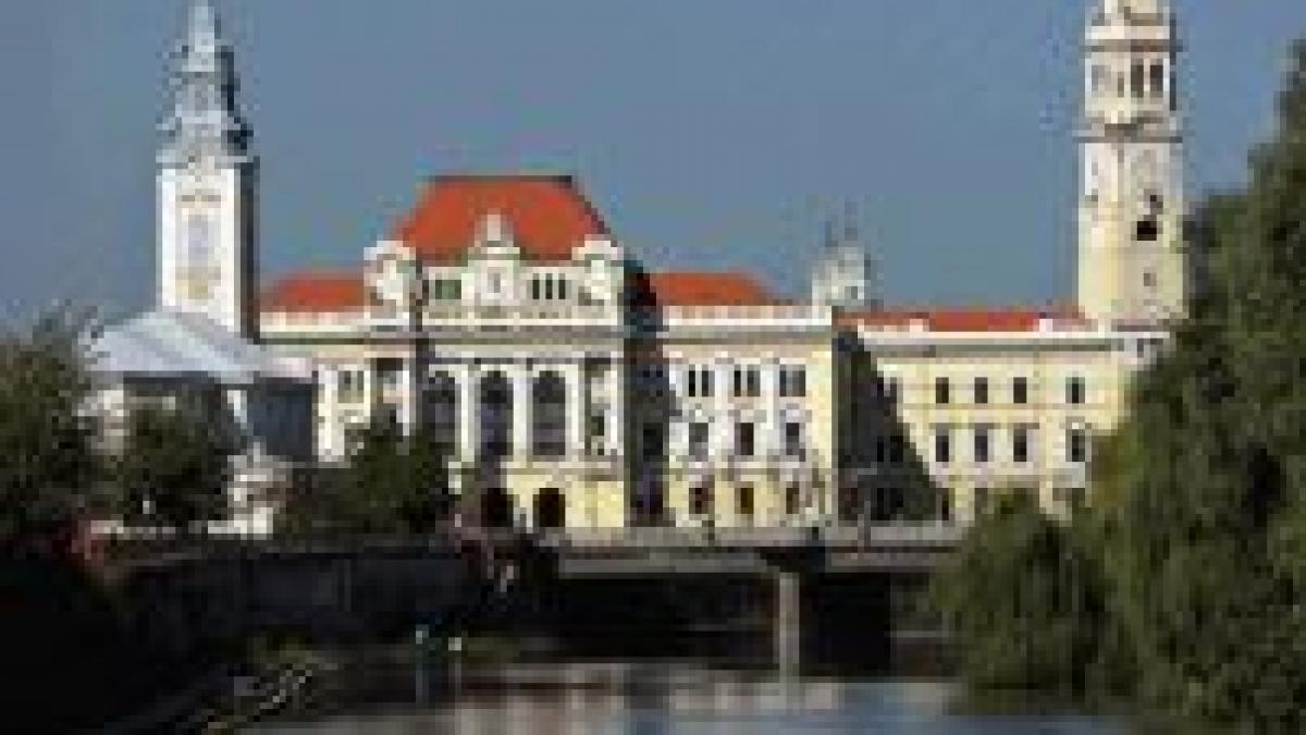 Unei femei din Oradea i-a căzut o o bucată de zid în cap
