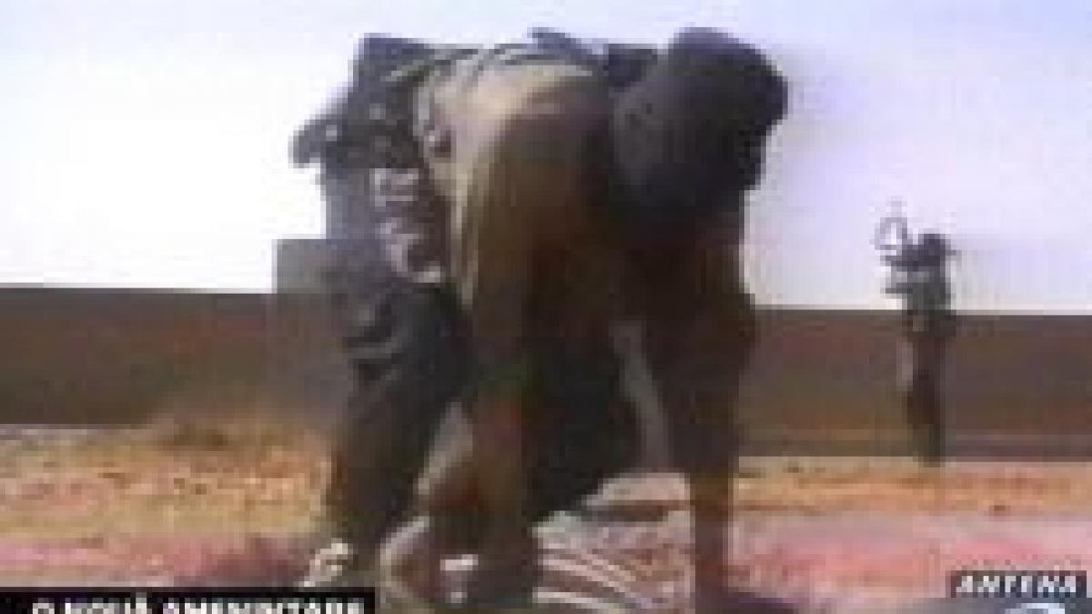 300 de recruti al qaida antrenati pentru atentate