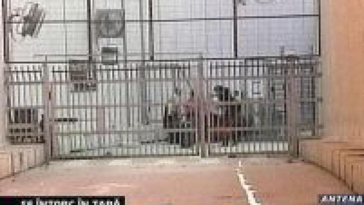 romanii din gaza in drum spre casa