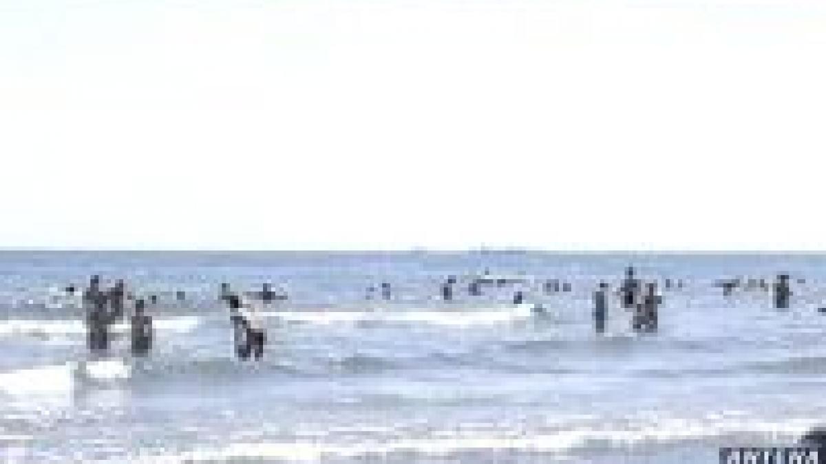 distractia e cuvantul de ordine pe litoral