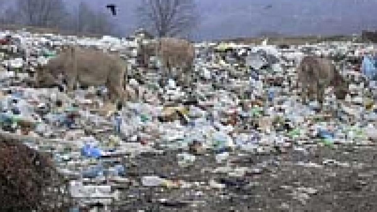 incendiu puternic in apropiere de bucuresti