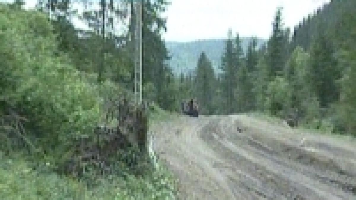 statul pierde 100 de milioane 1028 in urma retrocedarilor