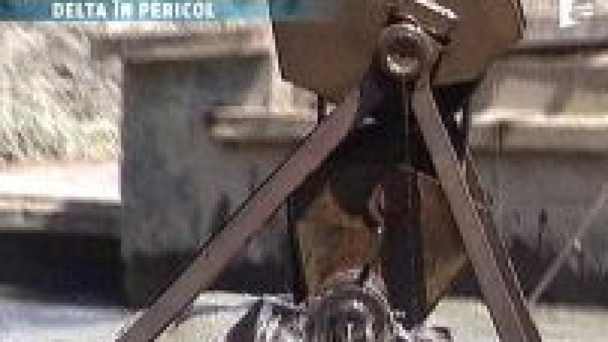 delta dunarii este in pericol de disparitie