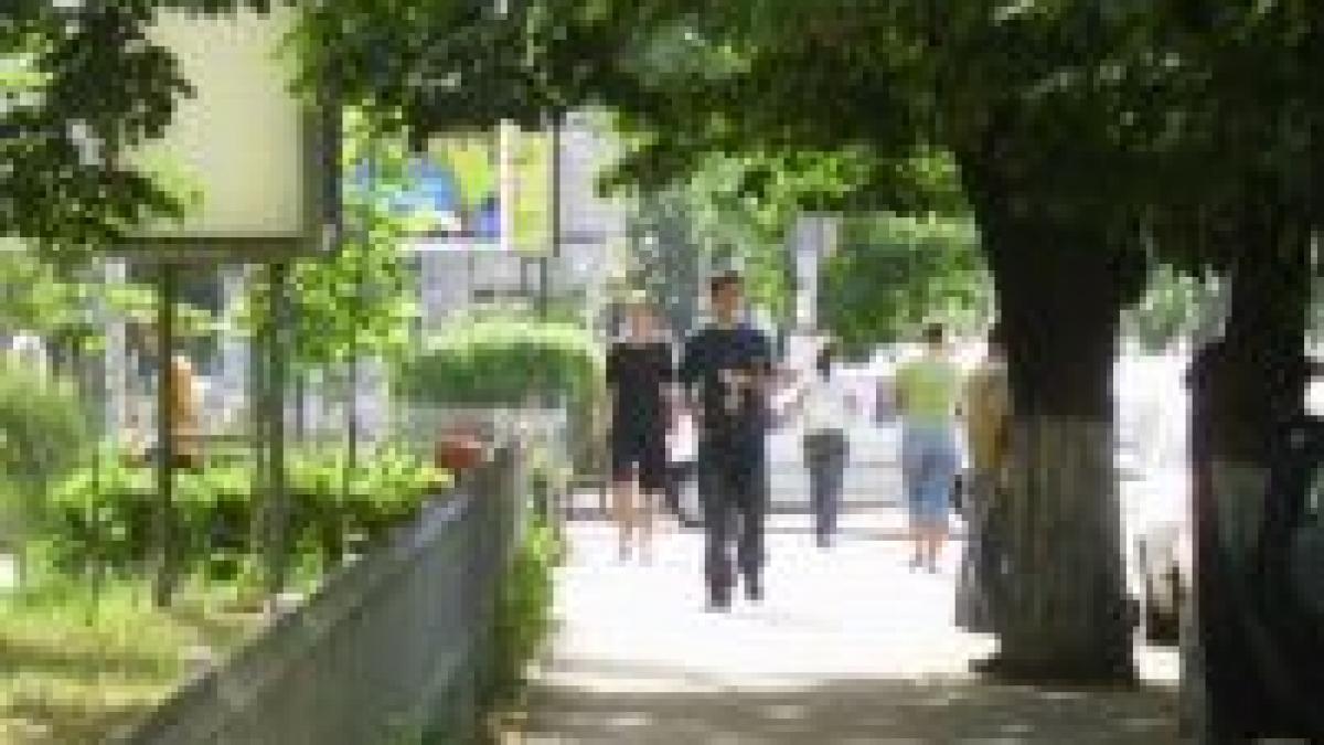 incalzirea globala in regie topless pe camin bere si o dambovita galerie foto