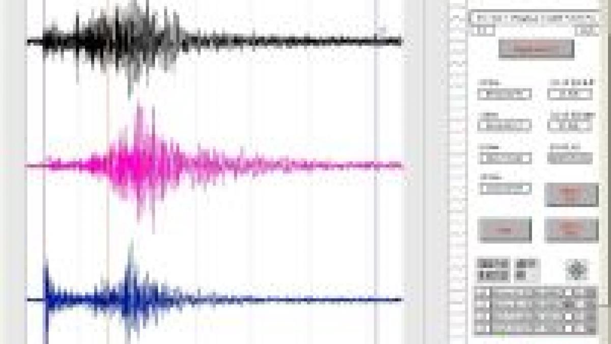 detectorul de cutremure pentru acasa