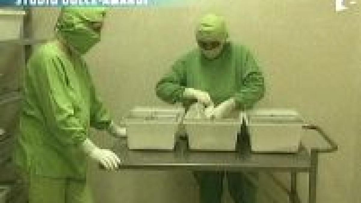 indulcitorii artificiali va imbolnavesc de cancer