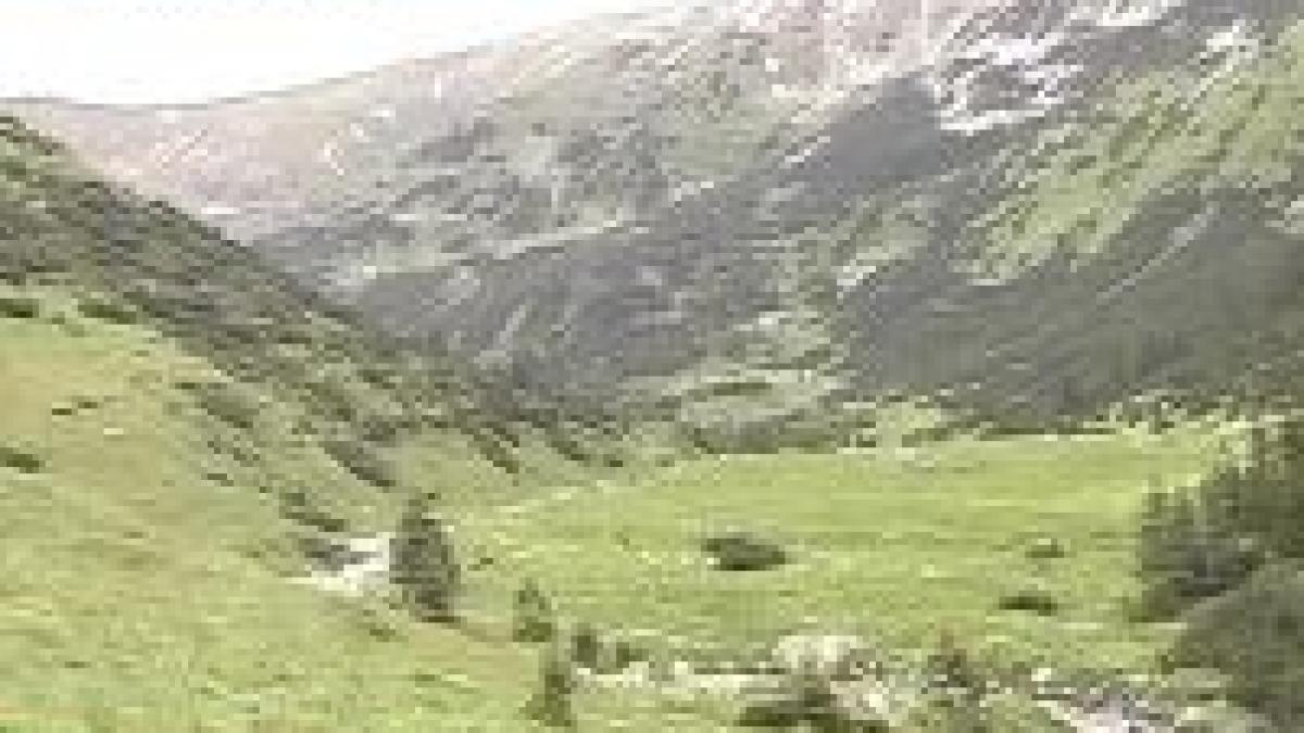 un colt de rai ferit de canicula in masivul sureanu