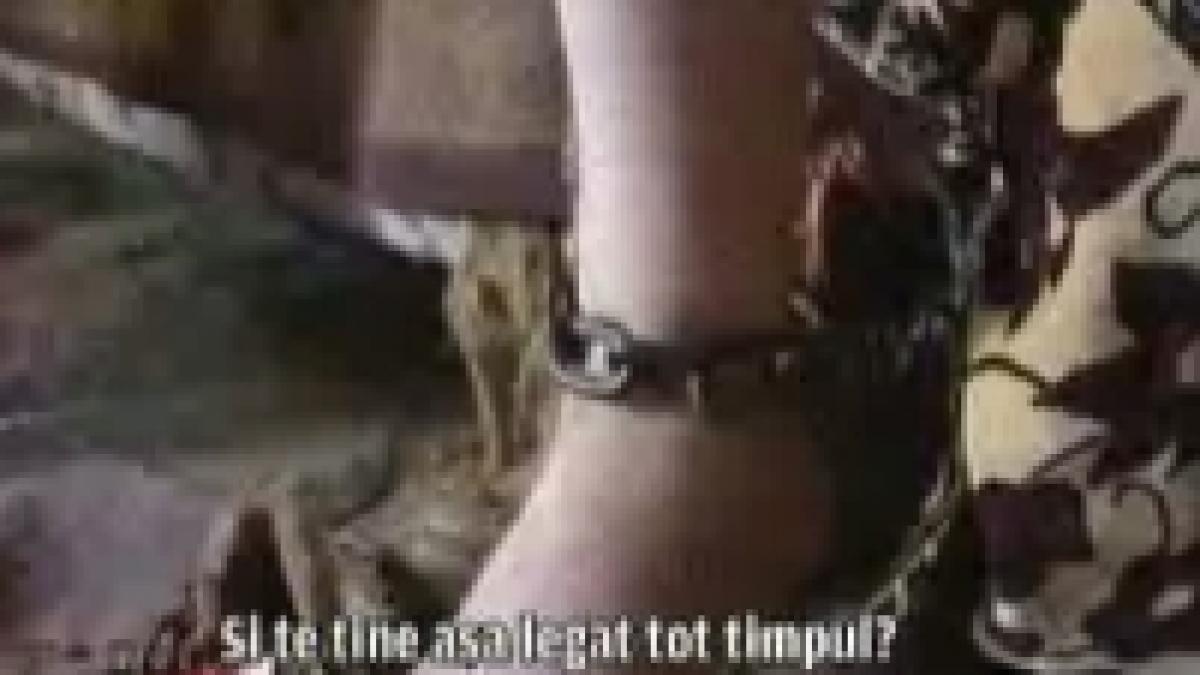 drama in iasi doi copii legati in lanturi de parinti video