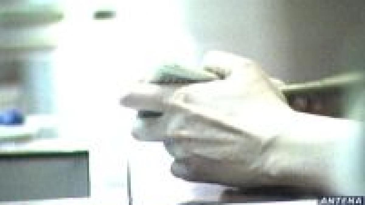 leul a ajuns la cea mai mare cotatie fata de euro din ultimii 5 ani