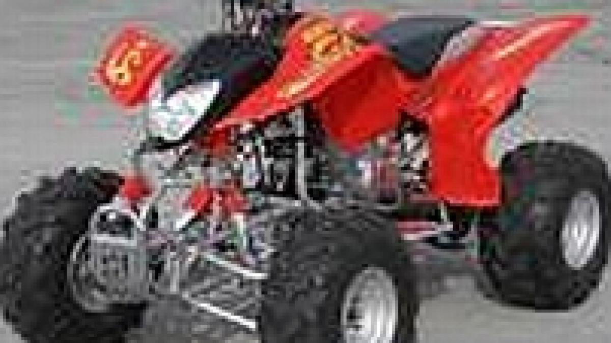 masinile atv urile si animalele de companie sunt interzise pe plaja