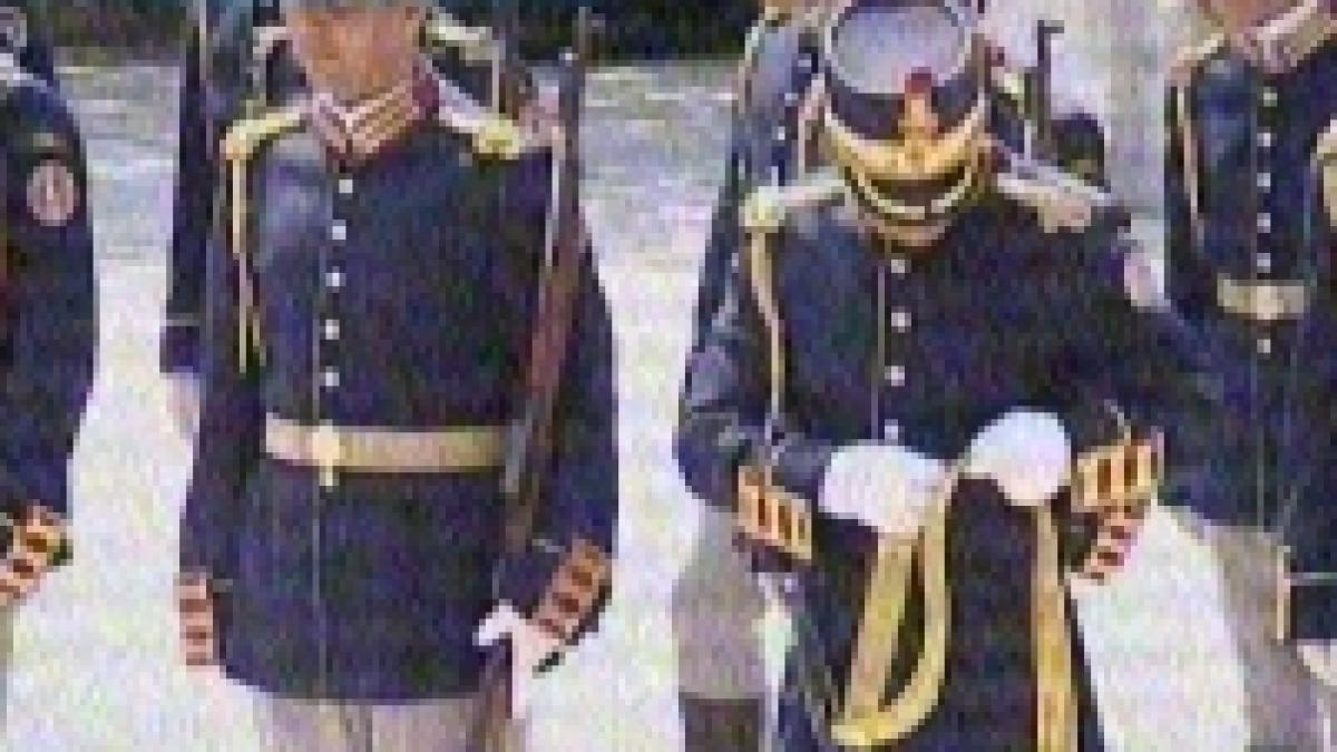 garda sifonata si traducerea de oroare de la cotroceni