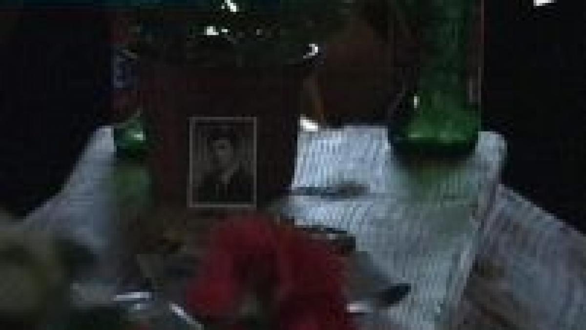 profesor de matematica ucis de un invatator video