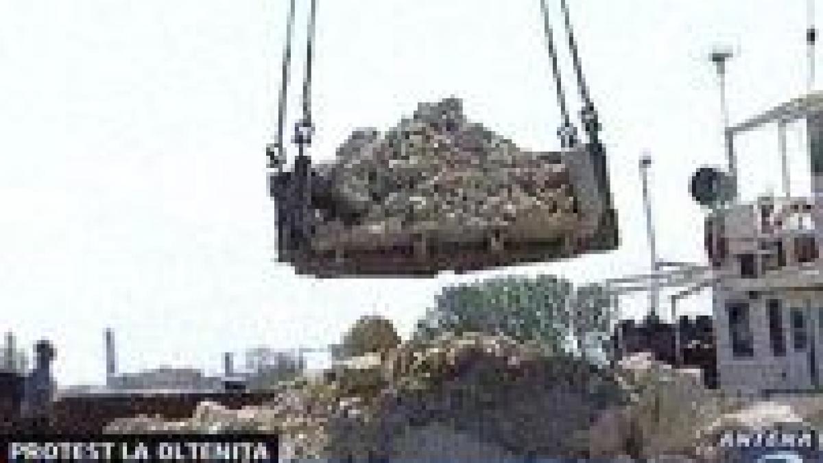 salariatii santierului navol oltenita picheteaza primaria