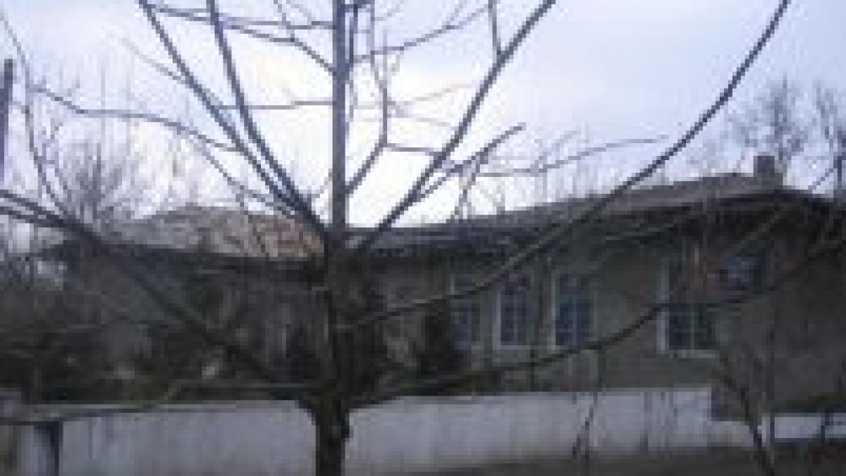 un copil de 12 ani s a sinucis ca nu a primit inghetata video