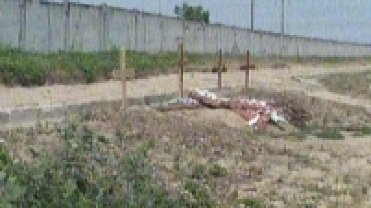 batran ingropat de medici fara ca familia sa fi stiut ca a murit video